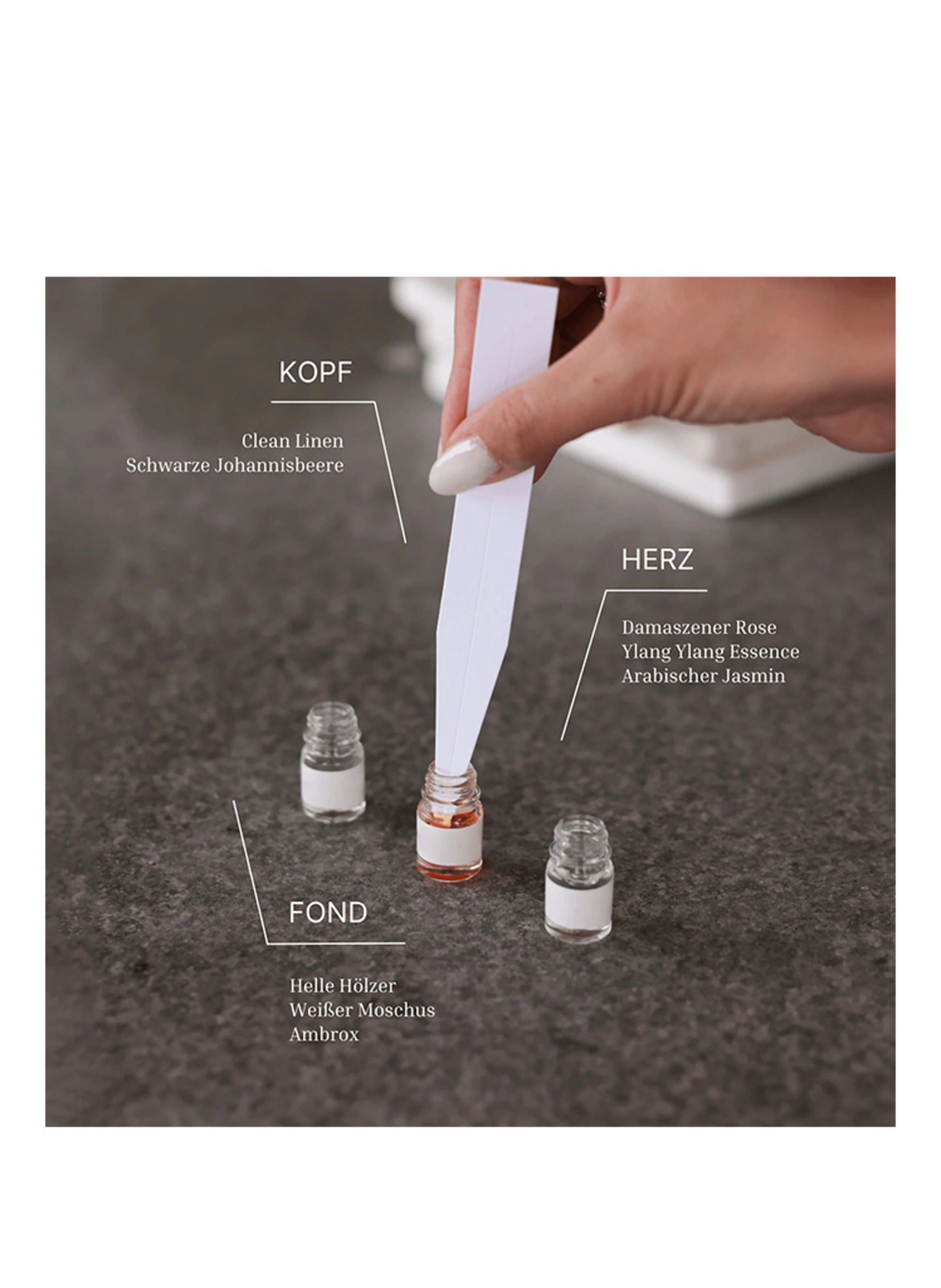 Noles | 14 - DFP - Premium Fragrance