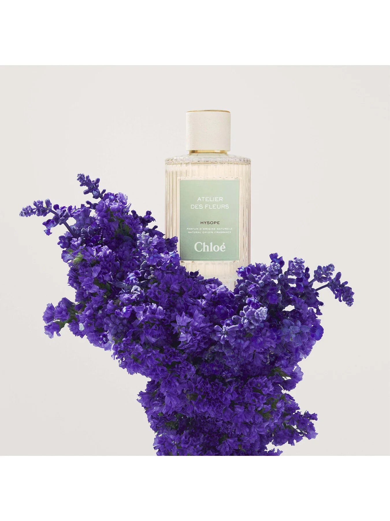 Chloé Atelier des Fleurs Hysope Abfüllung - grün-floraler Unisex-Duft mit Hysope und Kräutern - 2ml Parfum Probe DFP