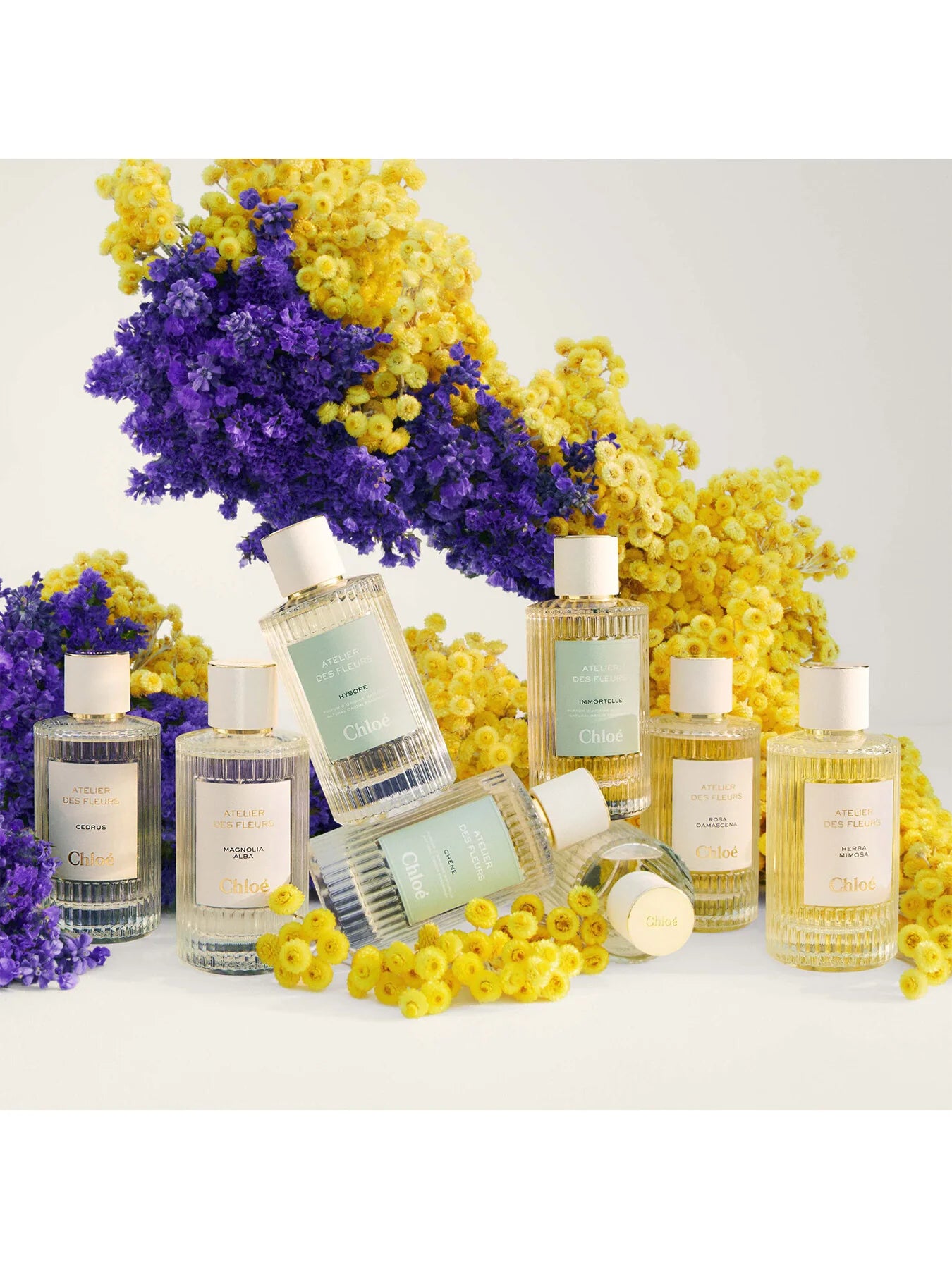 Chloé Atelier des Fleurs Hysope Abfüllung - grün-floraler Unisex-Duft mit Hysope und Kräutern - 2ml Parfum Probe DFP