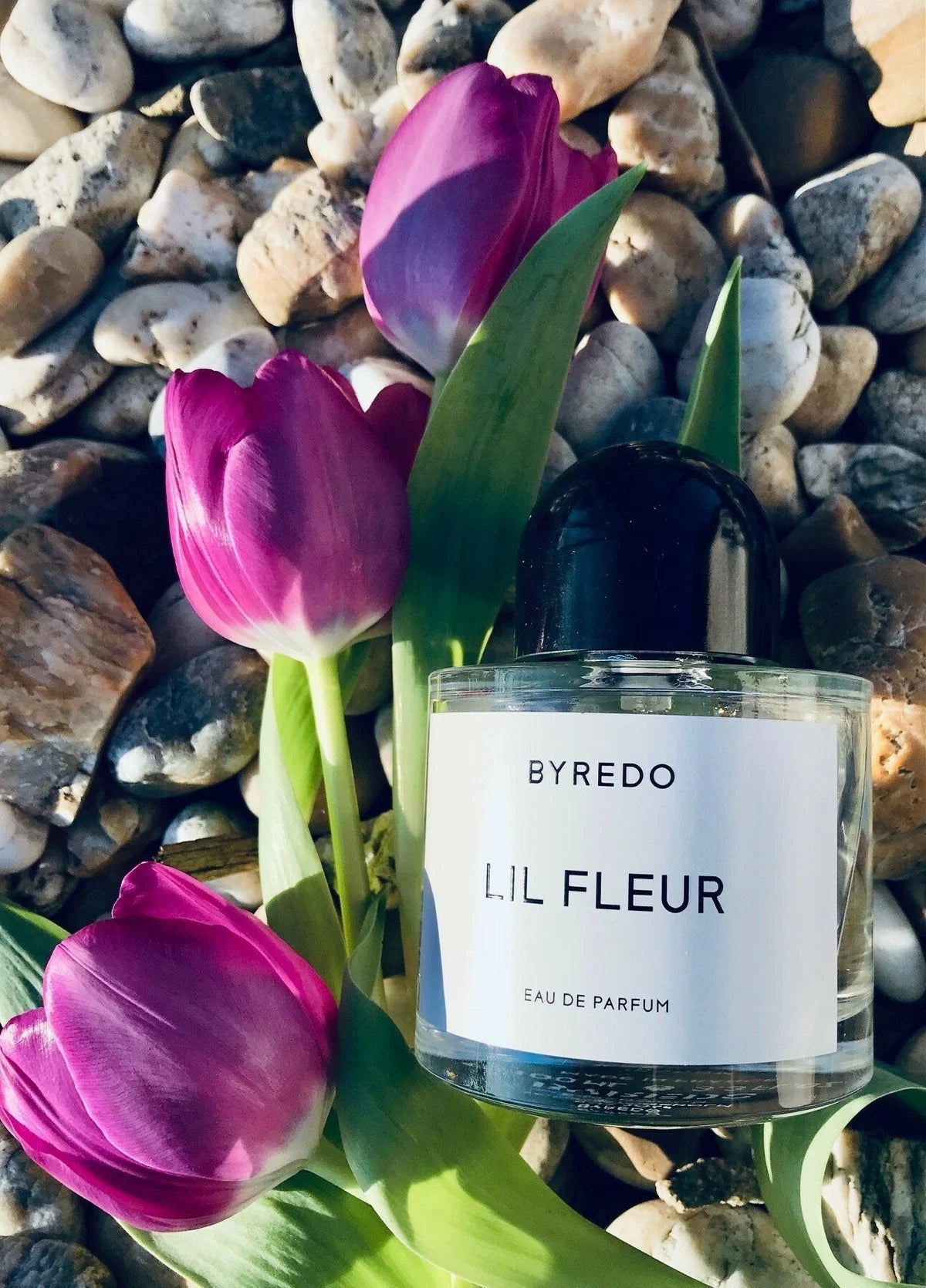 Byredo Lil Fleur Abfüllung - fruchtig-floraler Unisex-Duft mit Johannisbeere und Rose - 2ml Parfum Probe DFP
