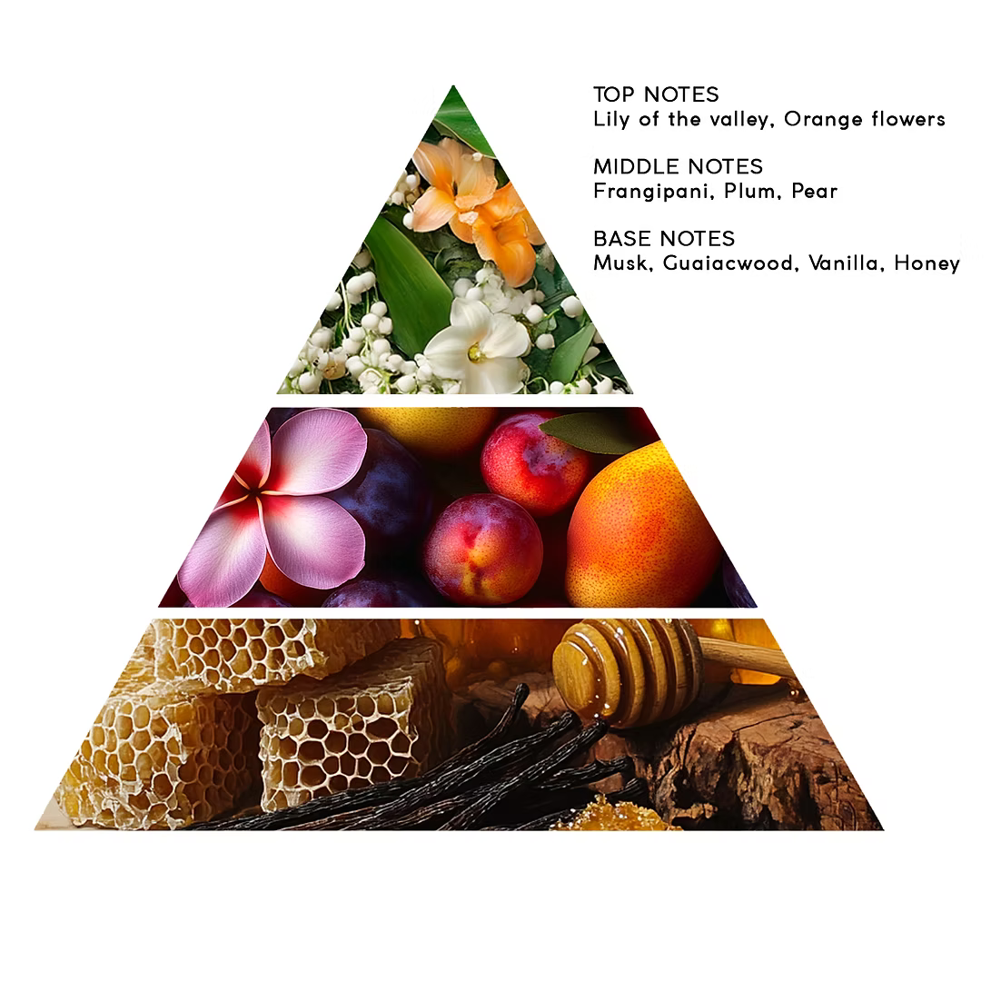 Maison Label Frangipani perfume decant, DFP sample