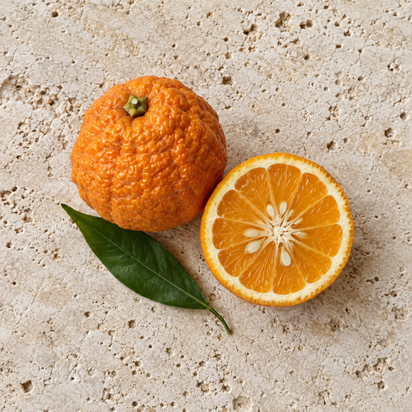 Bitter orange with a cut half and a leaf