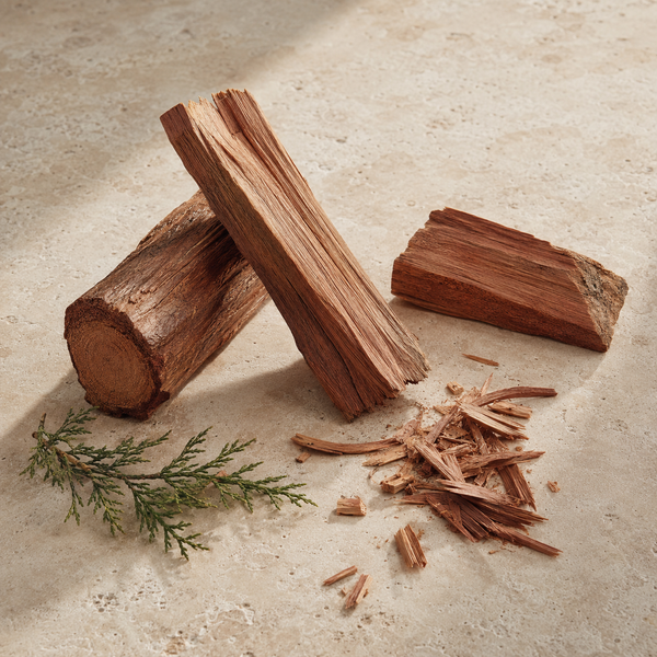 Illustration of the fragrance note White cedar