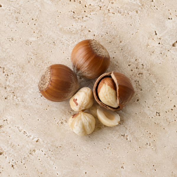 Hazelnuts with brown shells and pale kernels