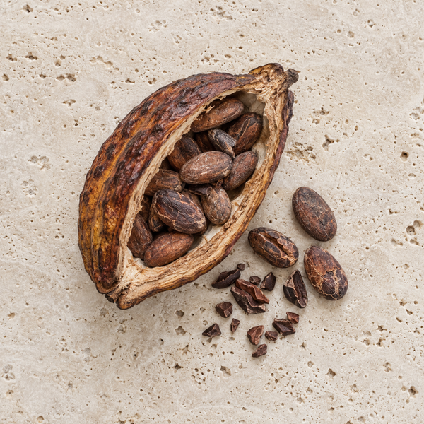 Kakaofrucht, Kakaobohnen und kleine Kakaostücke