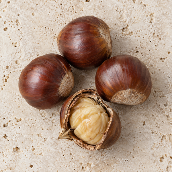 Glänzende Esskastanien und eine geöffnete Frucht
