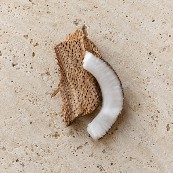 Palmholz und Kokosfleisch als Symbol für einen Kokosholzakkord