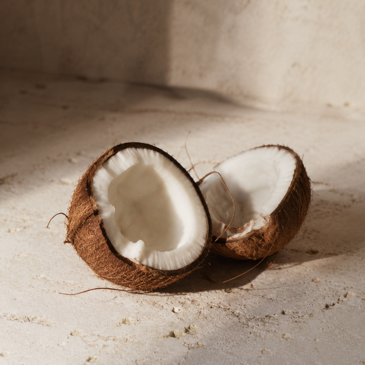 Coconut