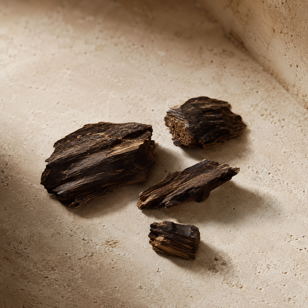 Illustration de la note parfumée Oud