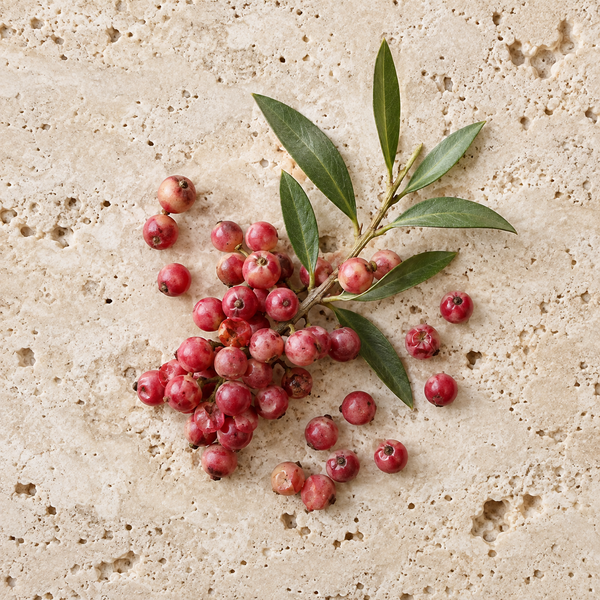 Rosarote Pfefferbeeren auf hellem Naturstein