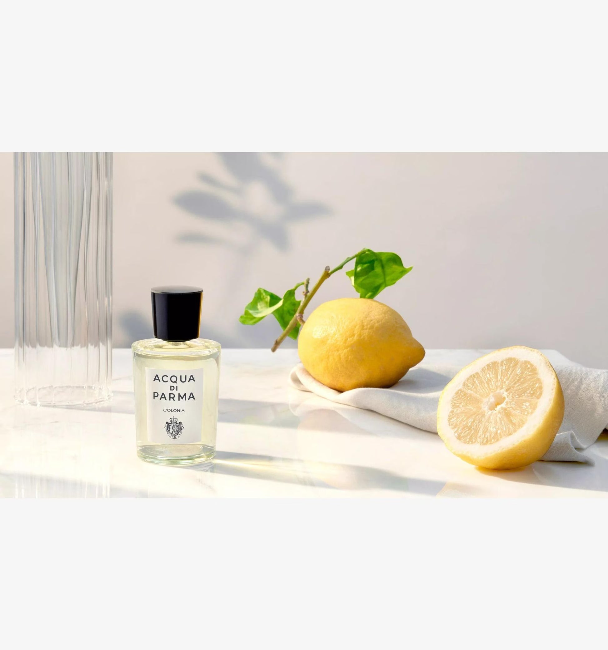 Acqua di Parma | Colonia - DFP - Premium Fragrance